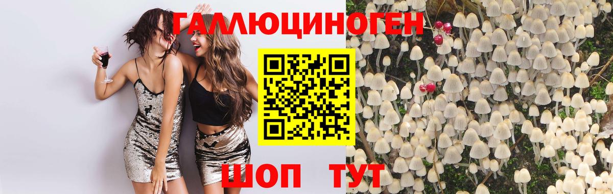Благовещенск  Галлюциногенные грибы Psilocybe  Псилоцибиновые грибы Cubensis  Вход с VPN 