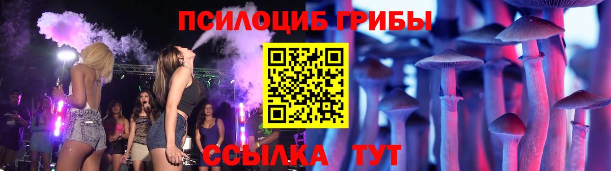 Галлюциногенные грибы прущие грибы Благовещенск